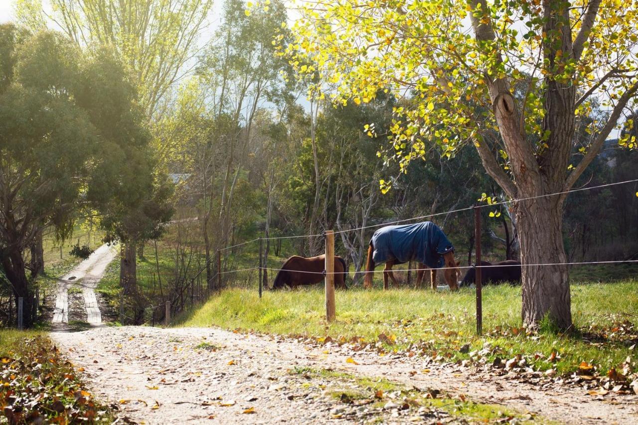 Colby Cottages, Wooragee Near Beechworth Exterior foto